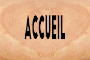 Bouton accueil